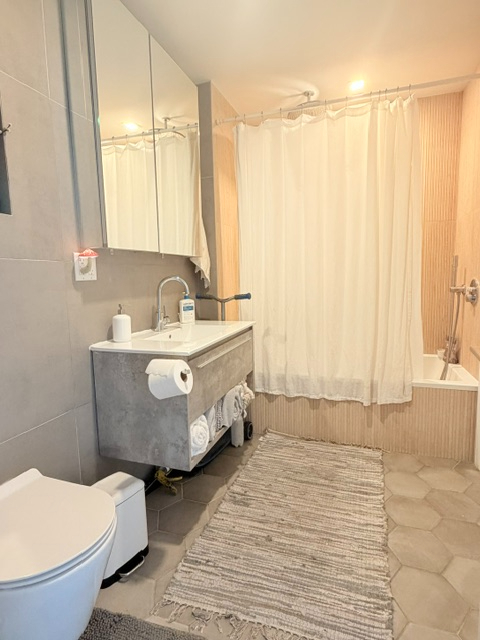 Bright Bushwick Room with Private Bath and Manhattan Views - Photo 7