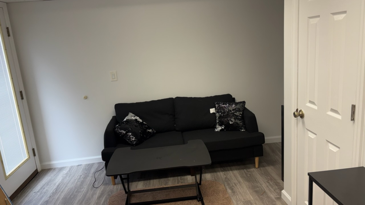 Quiet Furnished Apartment with Utilities Included in East Rockaway - Photo 2