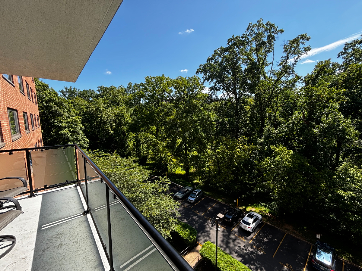 Beautiful and Spacious 2BR condo with deck overlooking Rock Creek Park - Photo 4