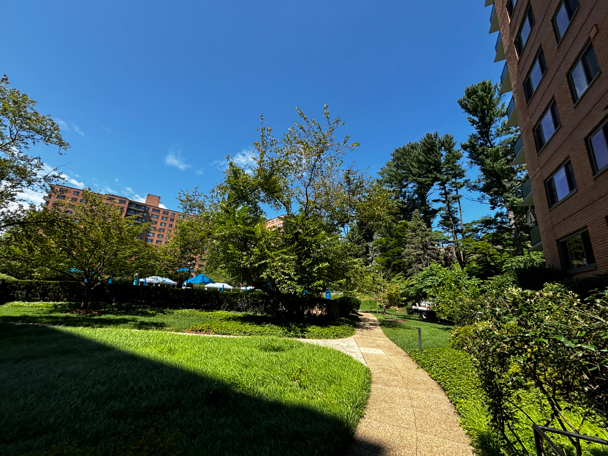 Beautiful and Spacious 2BR condo with deck overlooking Rock Creek Park - Photo 6