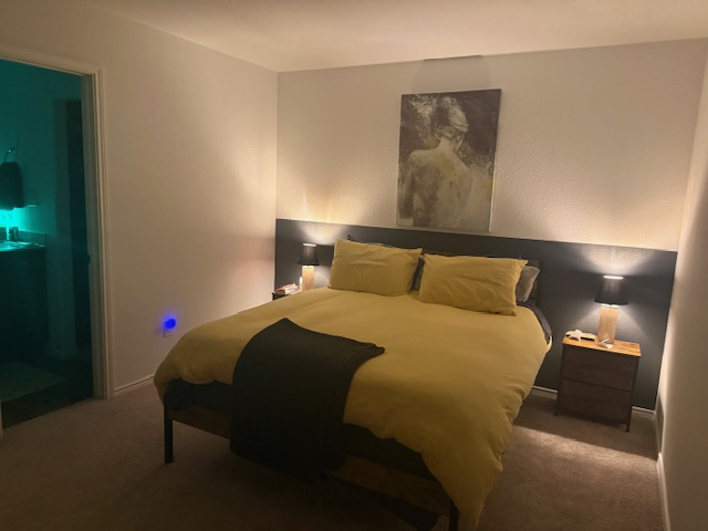 Corporate Housing Near Tesla, Austin Airport & Major Healthcare Facilities - Photo 6