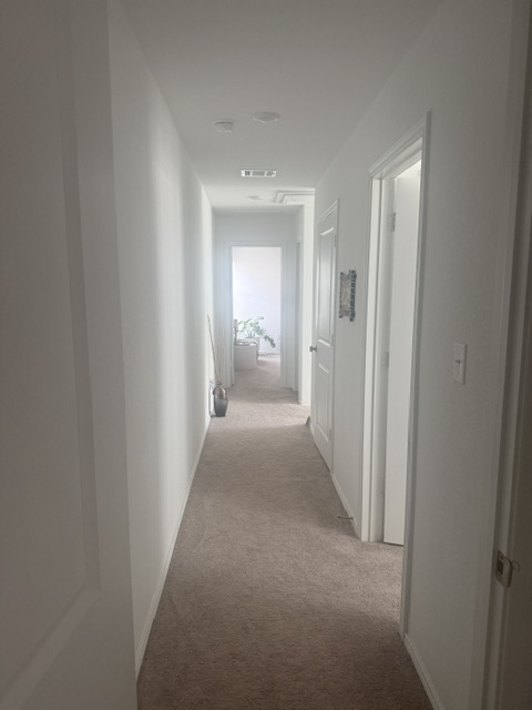 Corporate Housing Near Tesla, Austin Airport & Major Healthcare Facilities - Photo 12