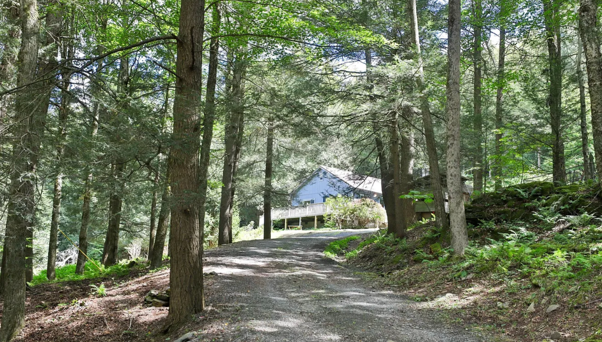 Cabin in the Woods - Margaretville - Photo 3