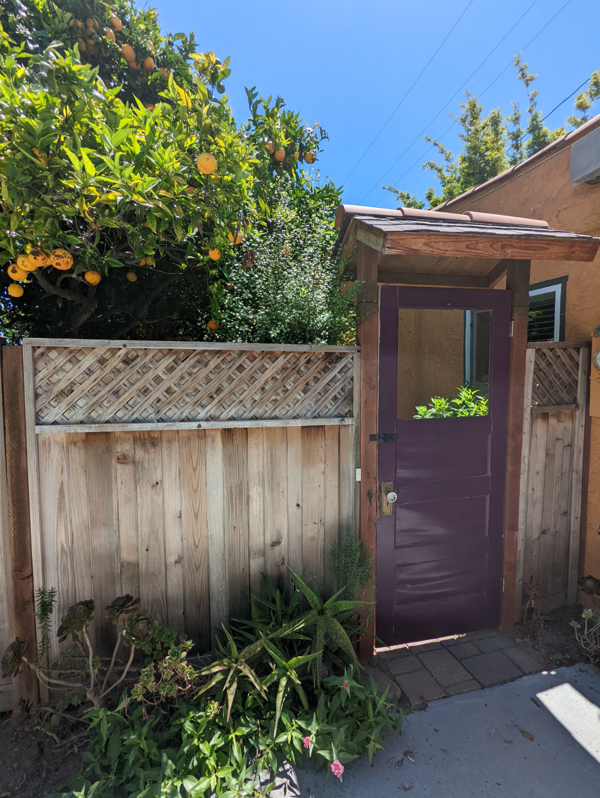 Charming Casita centrally located near downtown, beach, and hospital - Photo 2