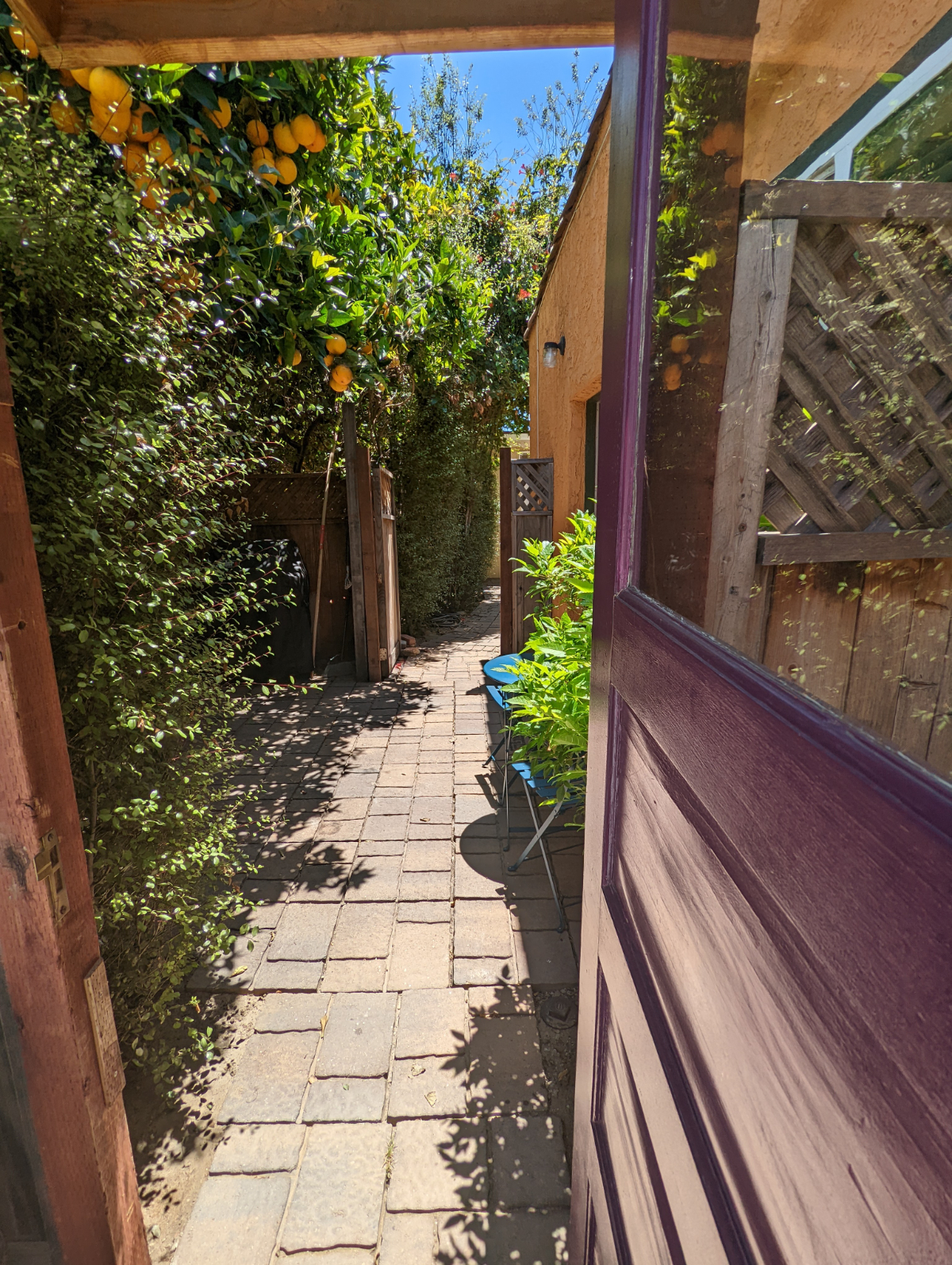 Charming Casita centrally located near downtown, beach, and hospital - Photo 3