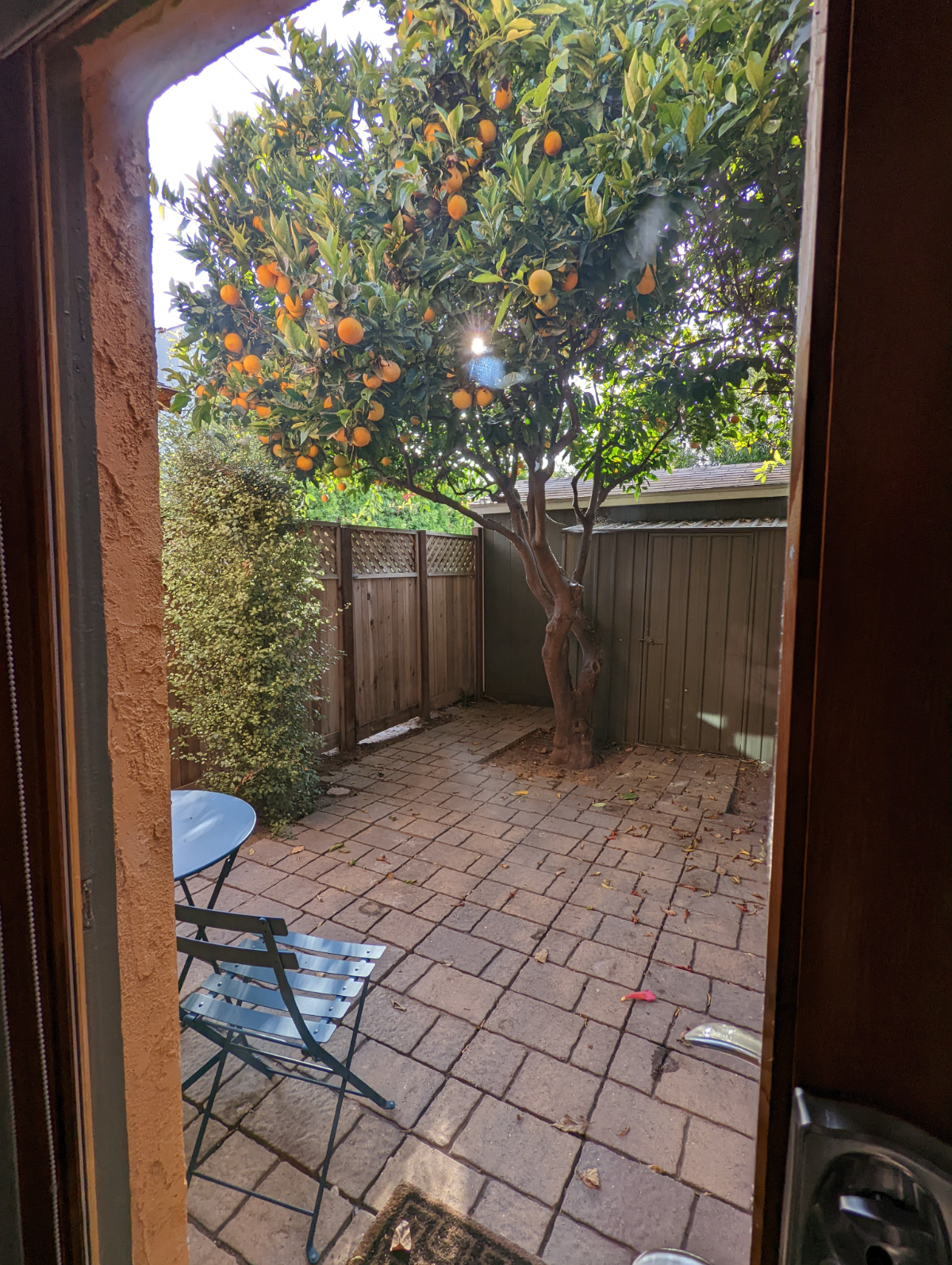 Charming Casita centrally located near downtown, beach, and hospital - Photo 5