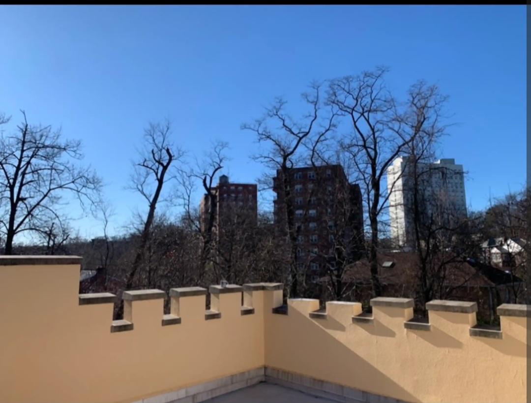 Bronx Luxury Penthouse - 1 BR Walk Up - Photo 7