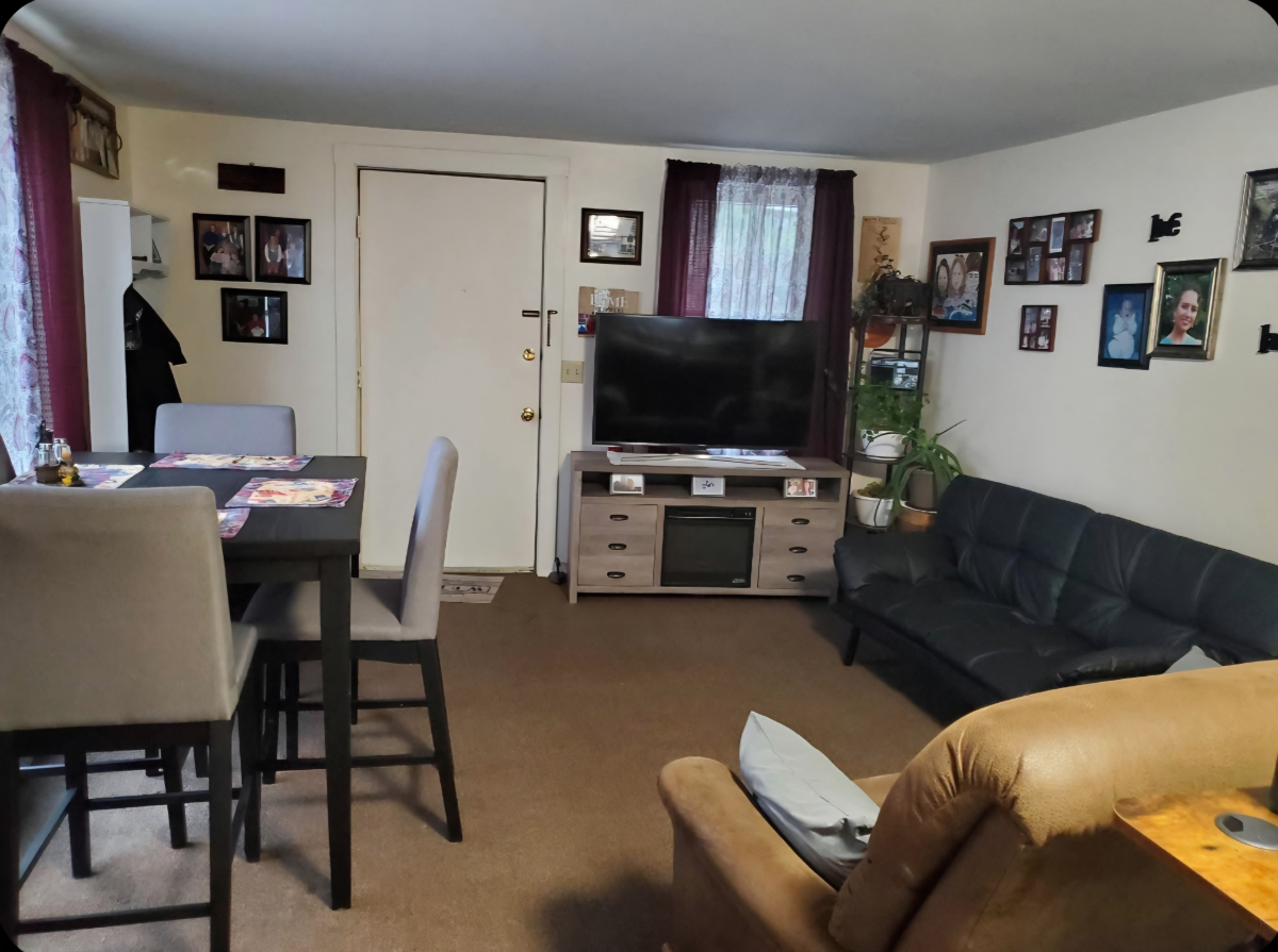 Cute, Quiet, Morrisville 1 Bedroom - No Pets - Photo 3