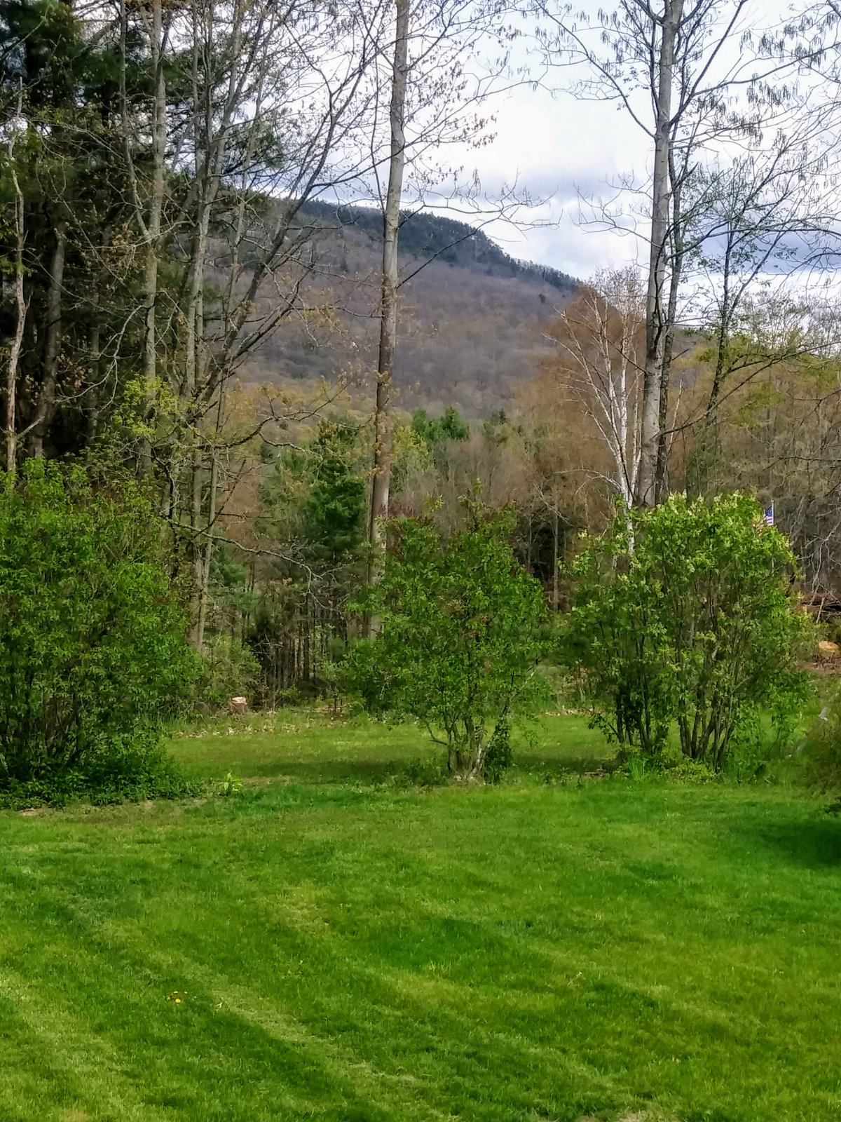 Newly Renovated Ranch on 2.5 Acres - Photo 3