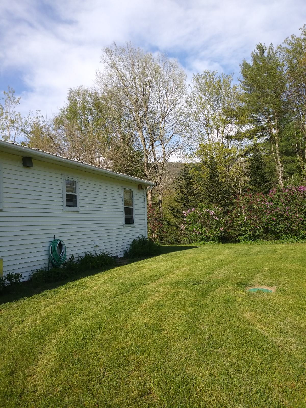 Newly Renovated Ranch on 2.5 Acres - Photo 2