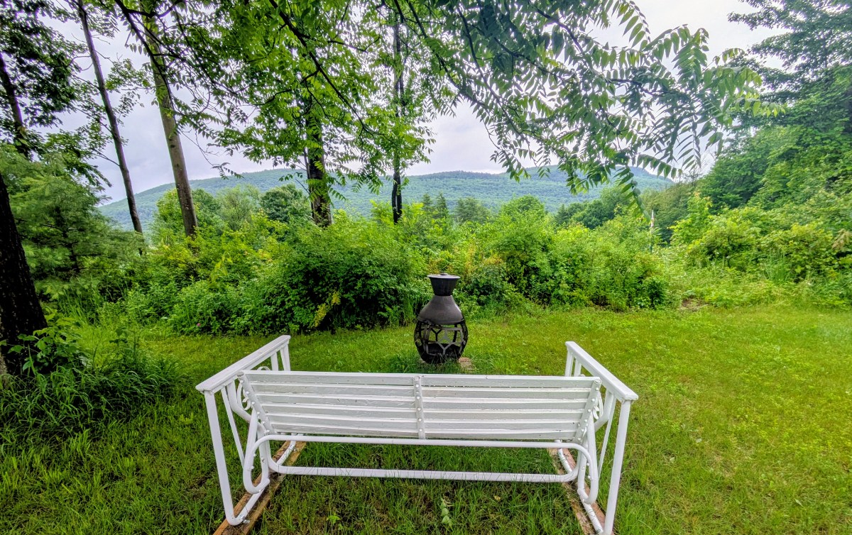 Newly Renovated Ranch on 2.5 Acres - Photo 4