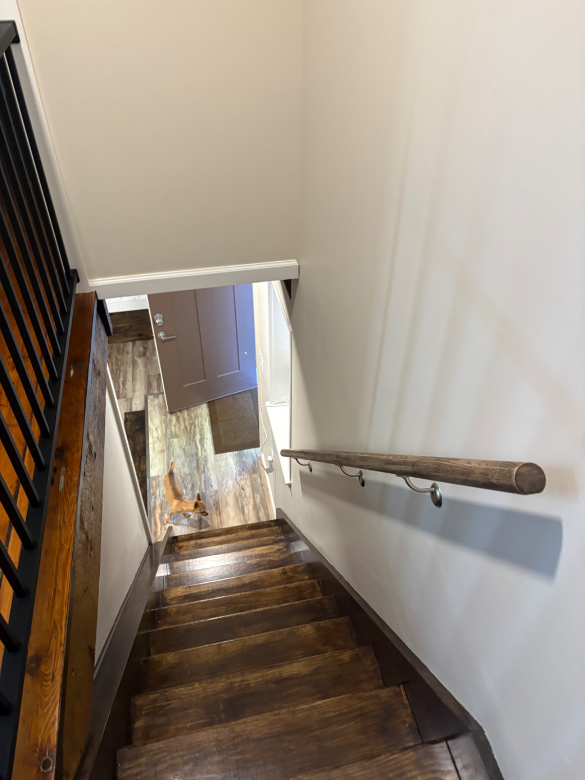 Charming Fully Renovated Carriage House (W/D and Patio) - Photo 5
