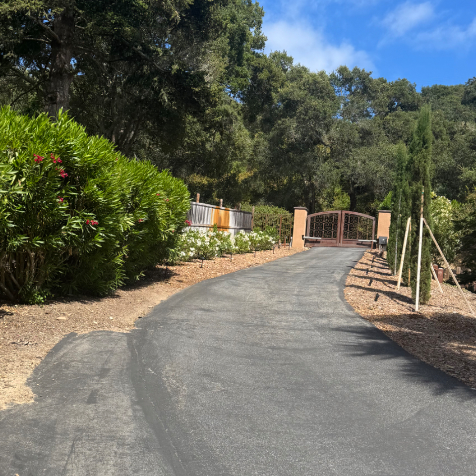 Completely remodeled studio above barn in Corralitos, Ca. - Photo 3