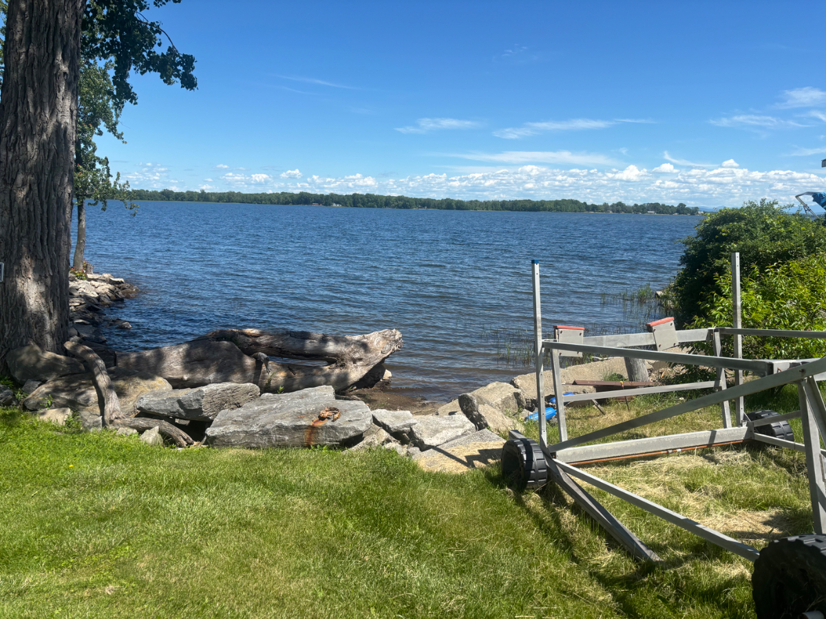 Small Cottage with Lakefront Access - Photo 7