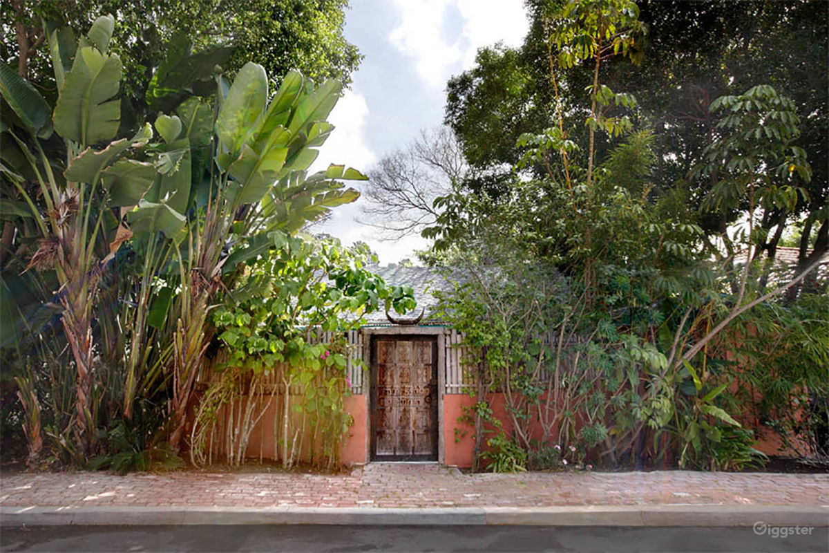 Exotic Apartment with Huge Tropical Garden in the Hollywood Hills - Photo 6