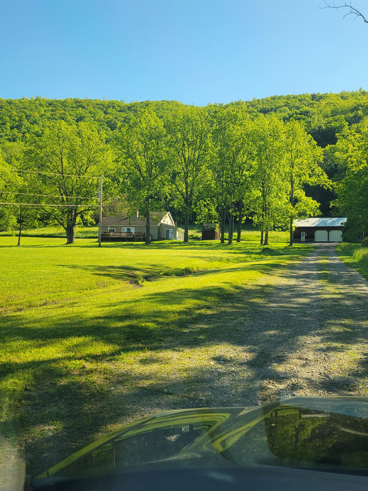Scenic Solitude - Photo 2