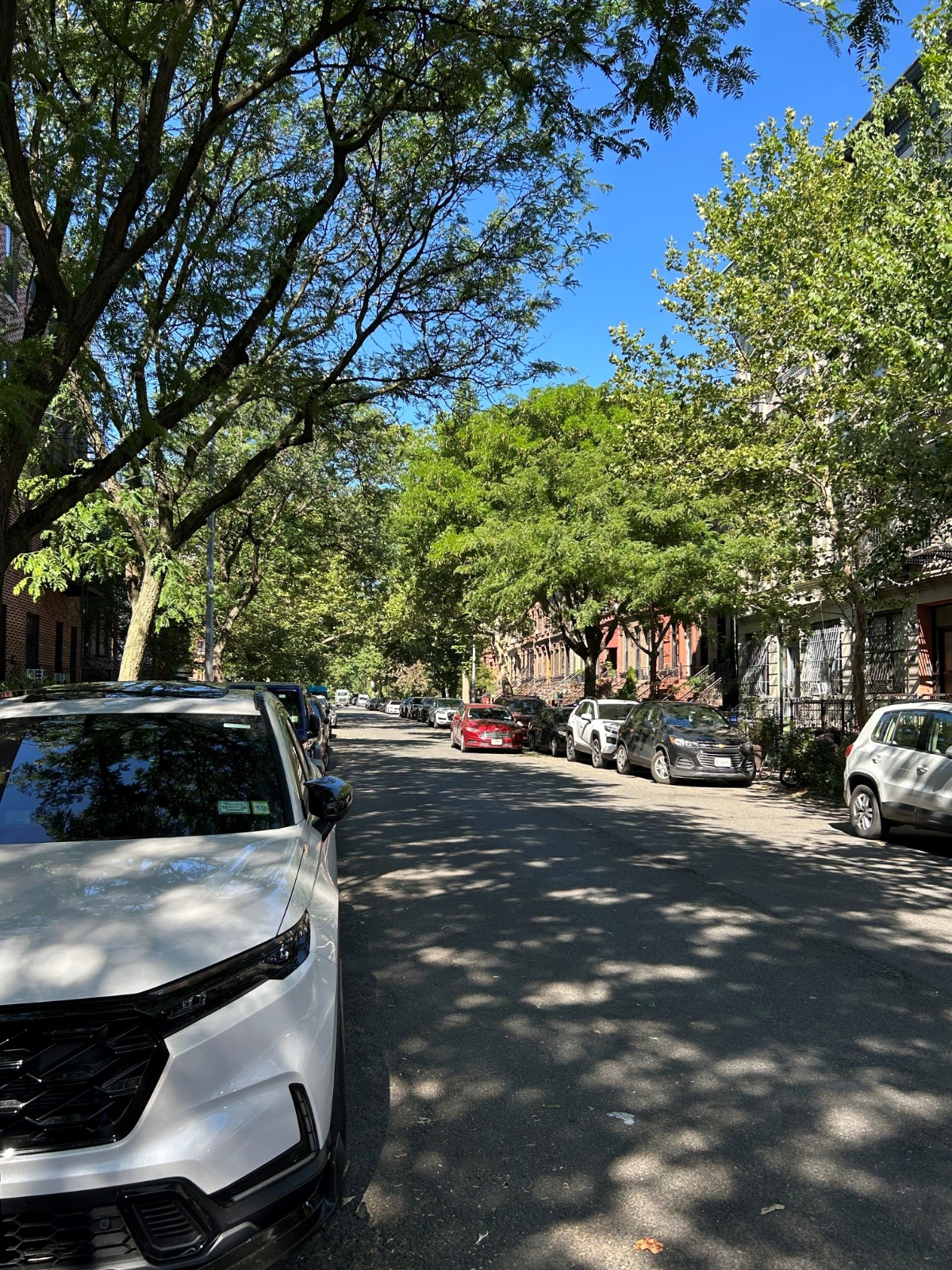 Designer Stuy-Hghts Brownstone 1 BR | A/C, Laundry & Pet Friendly - Photo 11
