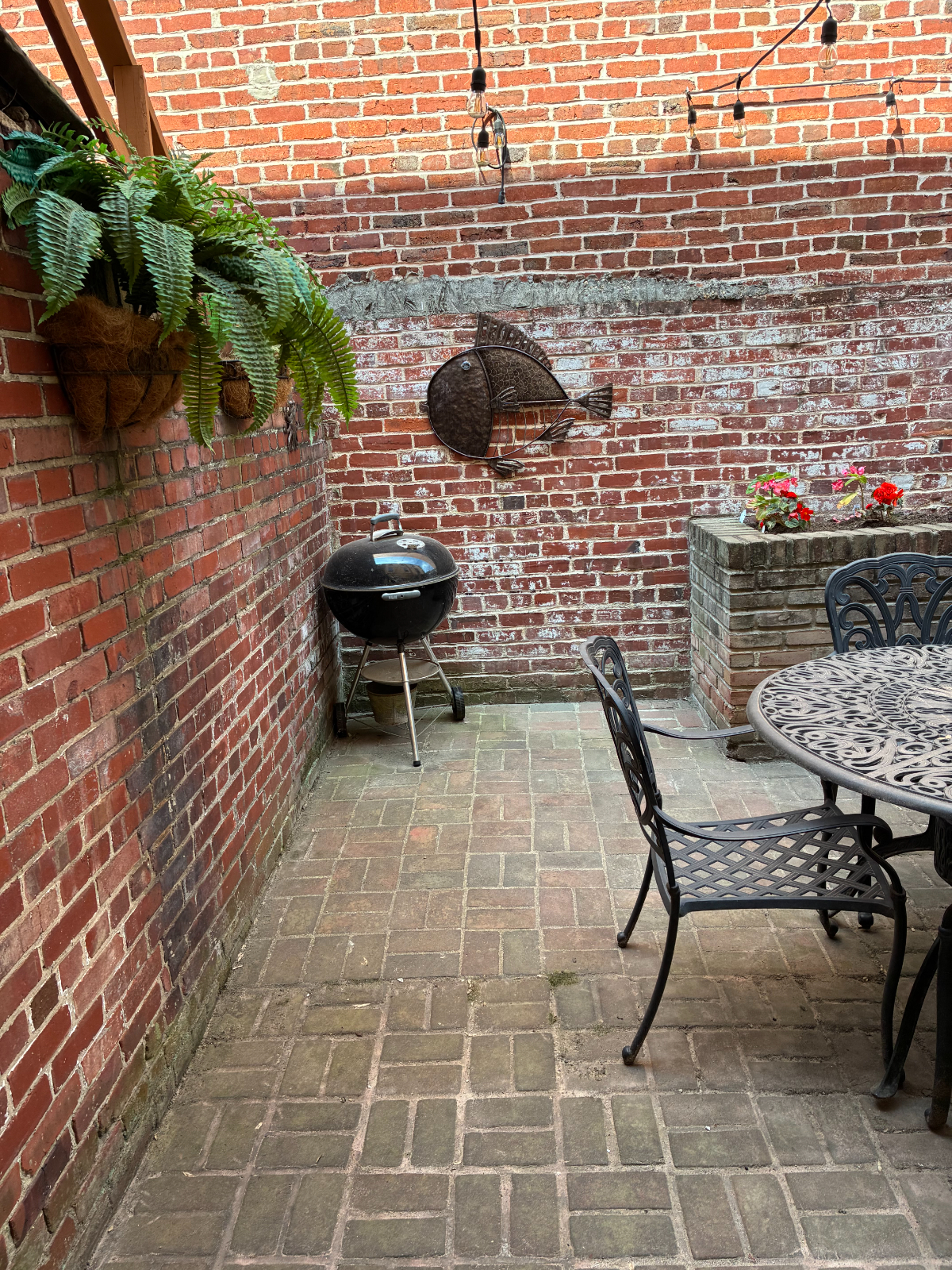 Capitol Hill Oasis - Fully Furnished 1-Bedroom English Basement Apartment - Photo 10