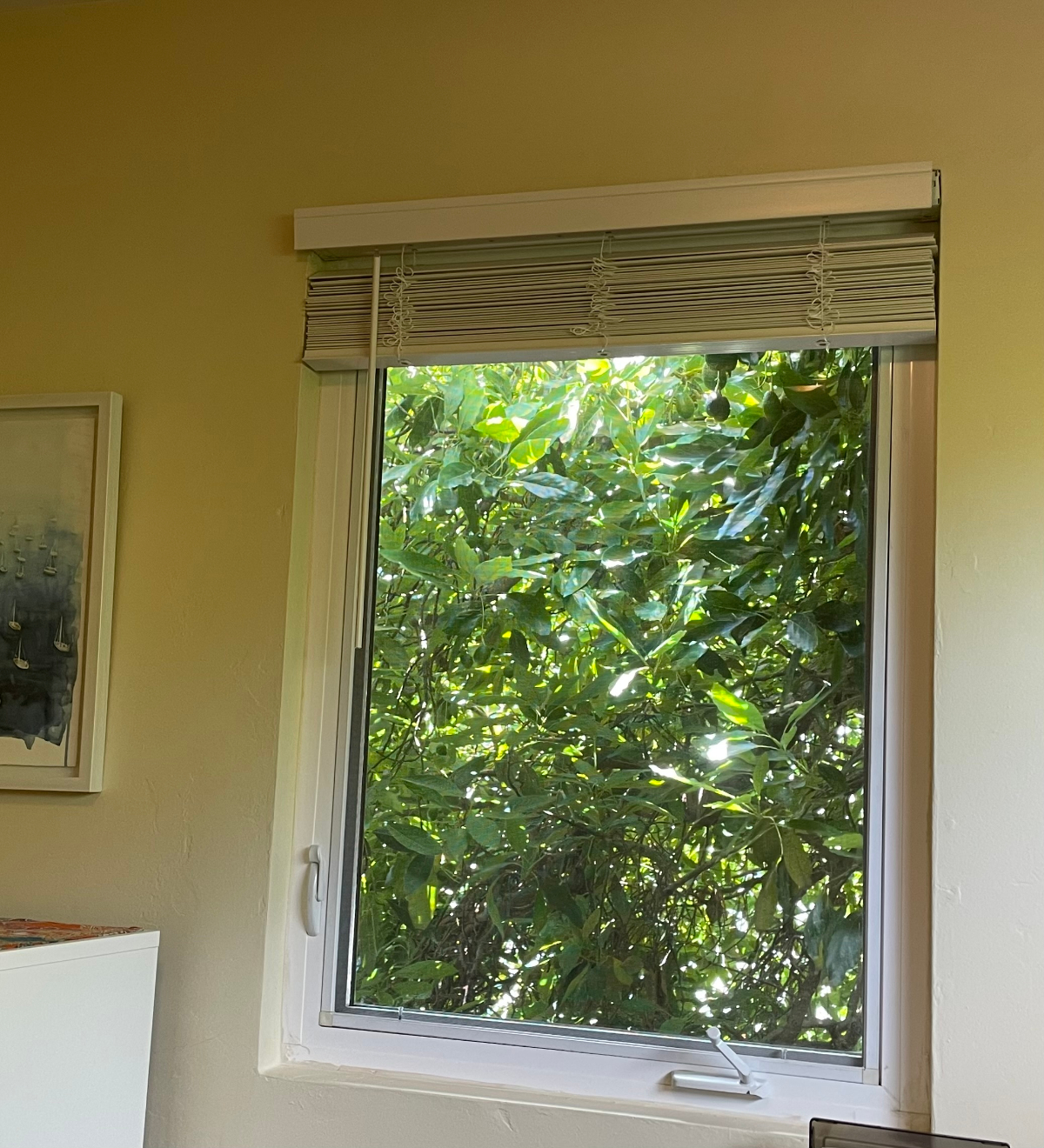 Bright, Comfortable Bedroom - Photo 4
