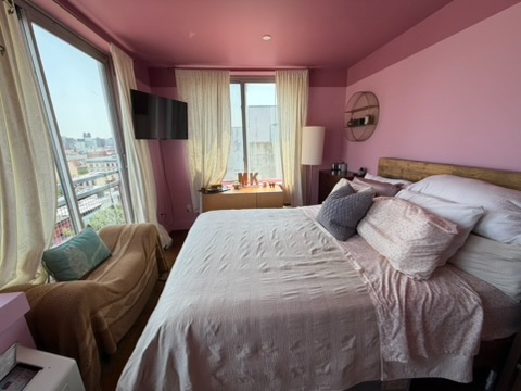 Bright Penthouse - private deck, dedicated office, 6 train on the corner) - Photo 5