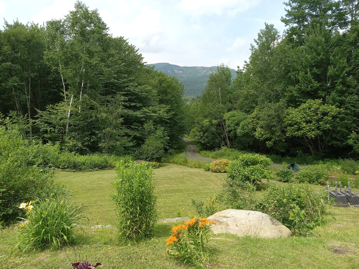 Enjoy Vermont's fall foliage from a home on acreage in the Green Mountains! - Photo 3