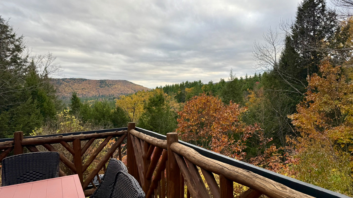 Whimsical Upgraded Mountain Log Cabin Retreat Near Mount Snow (2 BEDROOM / 1 BATH) - Spectacular Vie - Photo 4