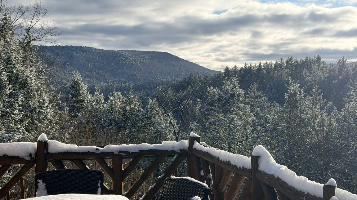 Whimsical Upgraded Mountain Log Cabin Retreat Near Mount Snow (2 BEDROOM / 1 BATH) - Spectacular Vie - Photo 5