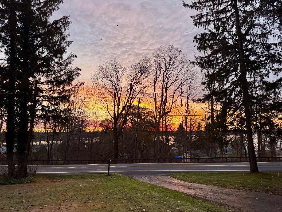 Peaceful Fingerlakes getaway - Photo 5