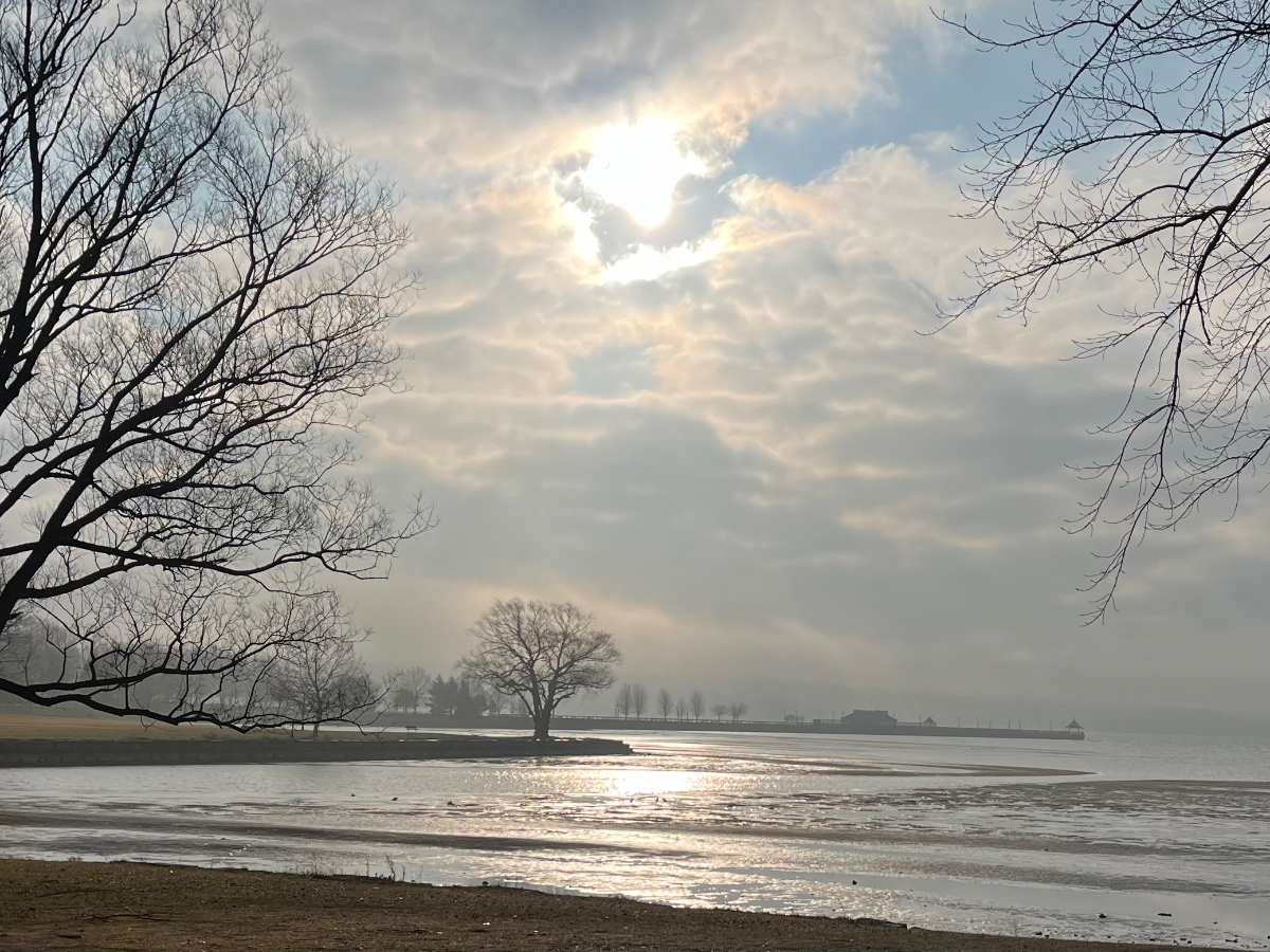 Peaceful Fingerlakes getaway - Photo 3