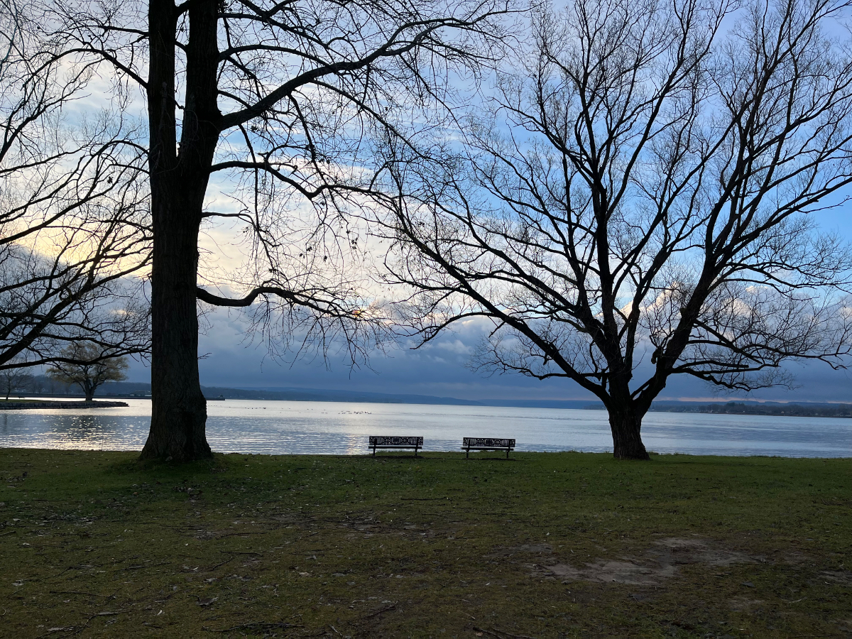 Peaceful Fingerlakes getaway - Photo 2