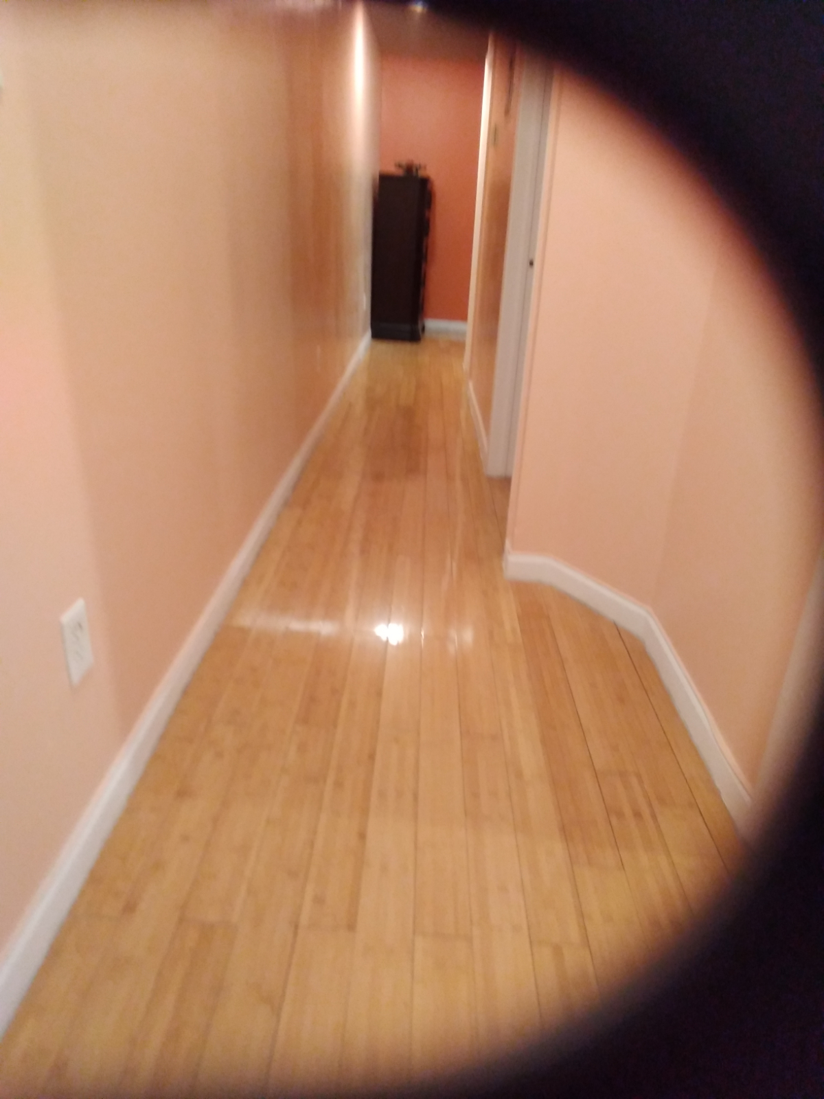 Gorgeous 1 bedroom with private bathroom close to o hospitals and public transportation - Photo 9