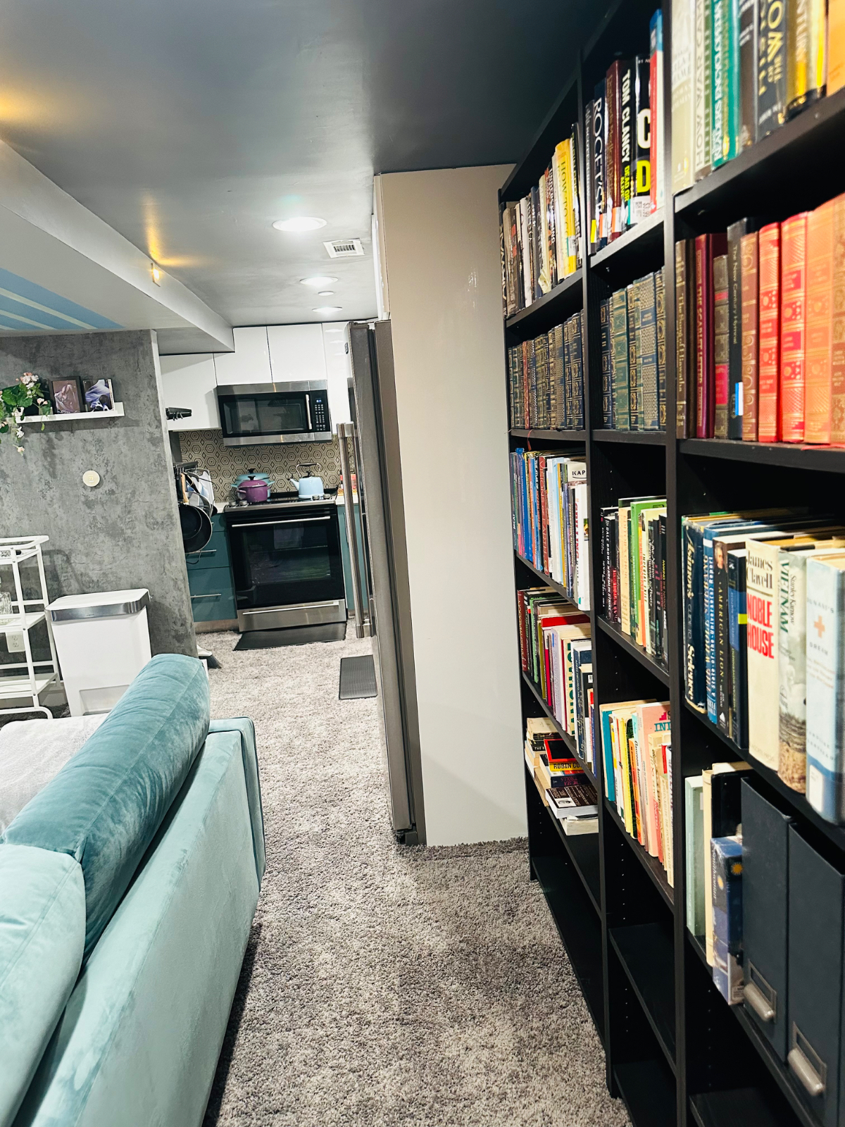 Furnished Private Basement Suite , Ideal for Solo Professionals - Photo 11