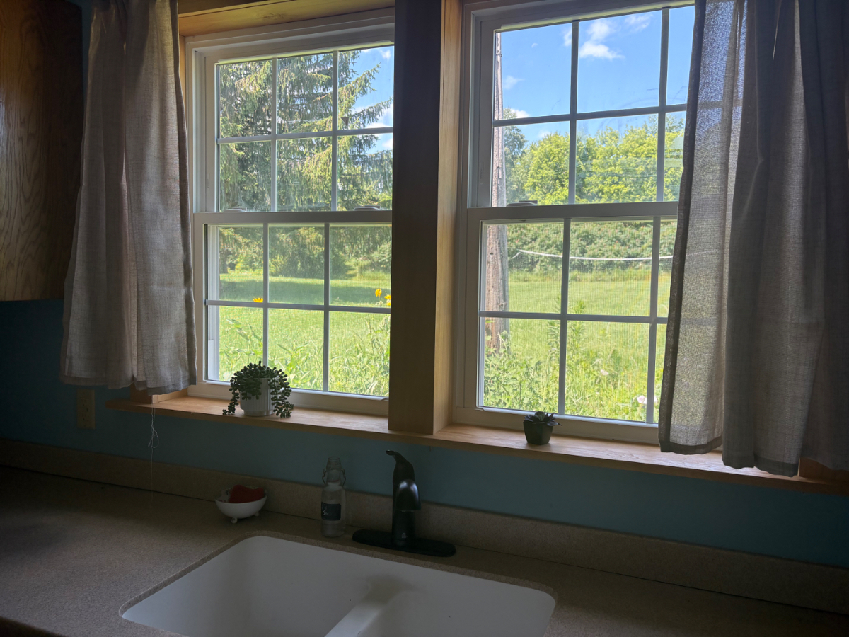 Meadow view - Photo 3
