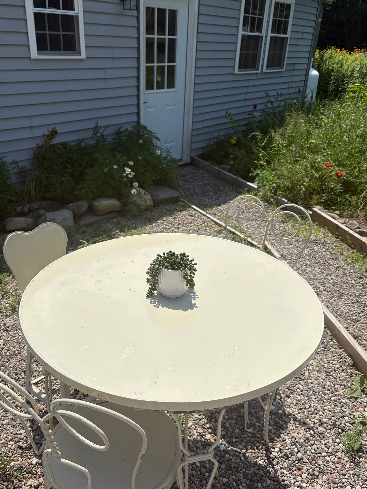 Meadow view - Photo 9
