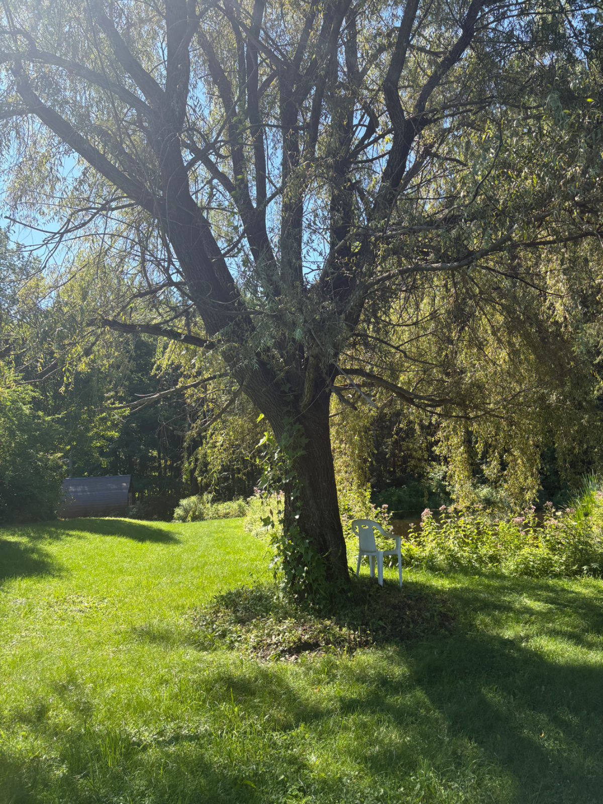 Meadow view - Photo 11