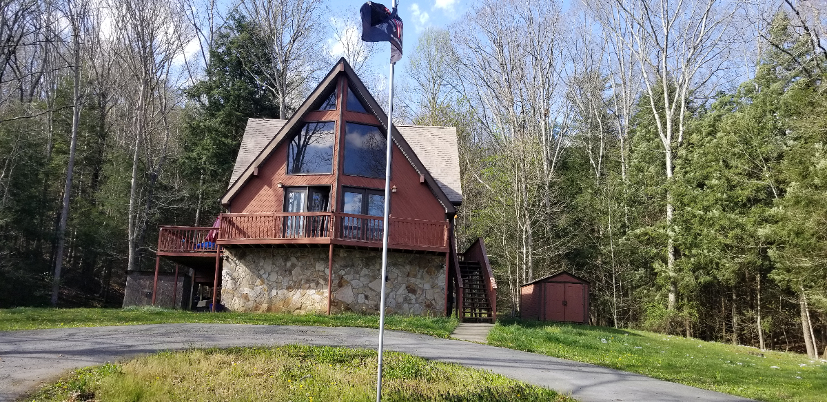 Beautiful Modern Cabin in the woods - Photo 1