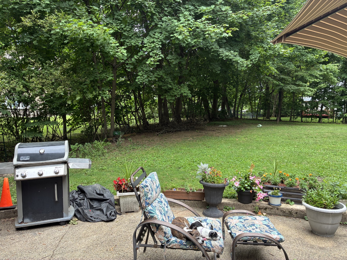 Quiet, Private Room in a Safe Neighborhood - Near NYC & Local Conveniences - Photo 7