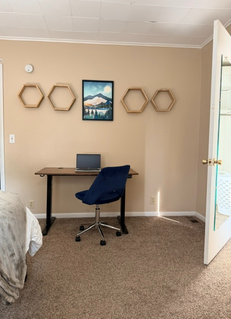 The Painted Plateau - Spacious Apt. Close to I-86! - Photo 11