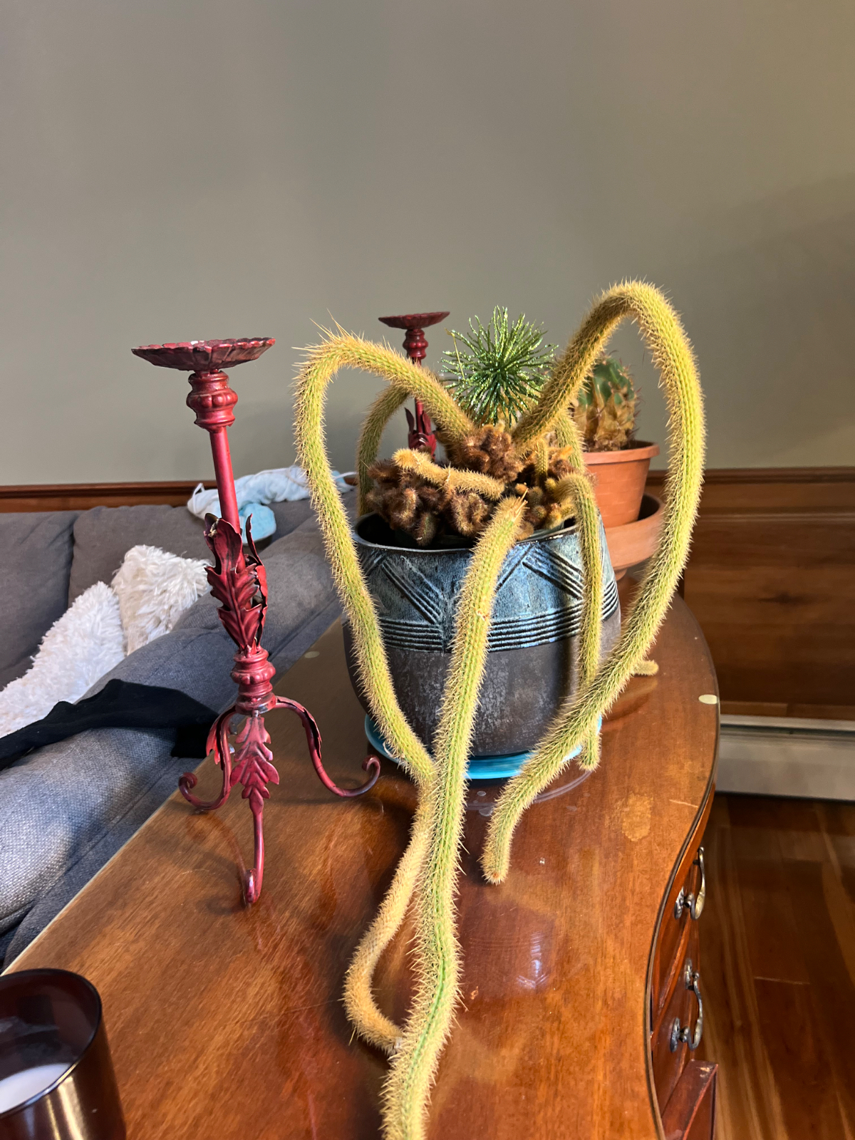 Looking for a roommate to share a large home. - Photo 1
