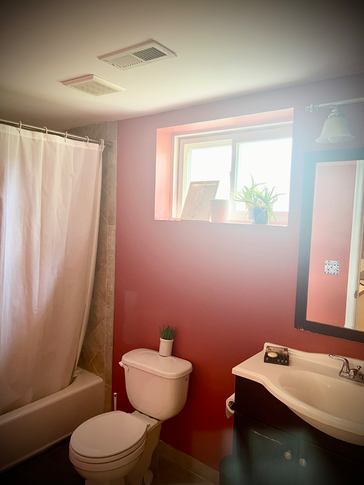 Large Studio Basement Apartment | Private Entrance | In-Unit Washer/Dryer | 16th Street Heights - Photo 7