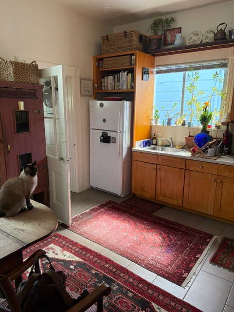 2 Furnished Rooms in Lovely Victorian Apartment in Sunny Noe Valley Neighborhood of SF - Photo 2