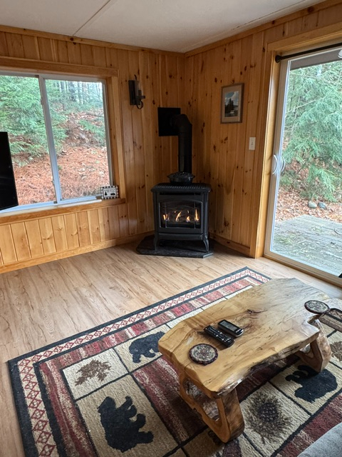 Your Adirondack adventure starts here. Beautifully renovated cabin just 15 minutes from Lake George, - Photo 10