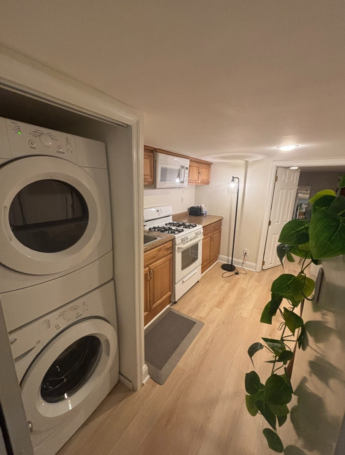 Cozy Botanical City Hideaway - Photo 12