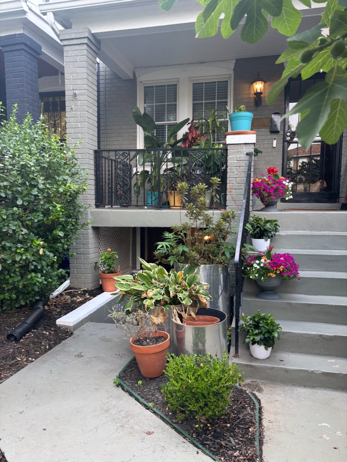Cozy Botanical City Hideaway - Photo 4