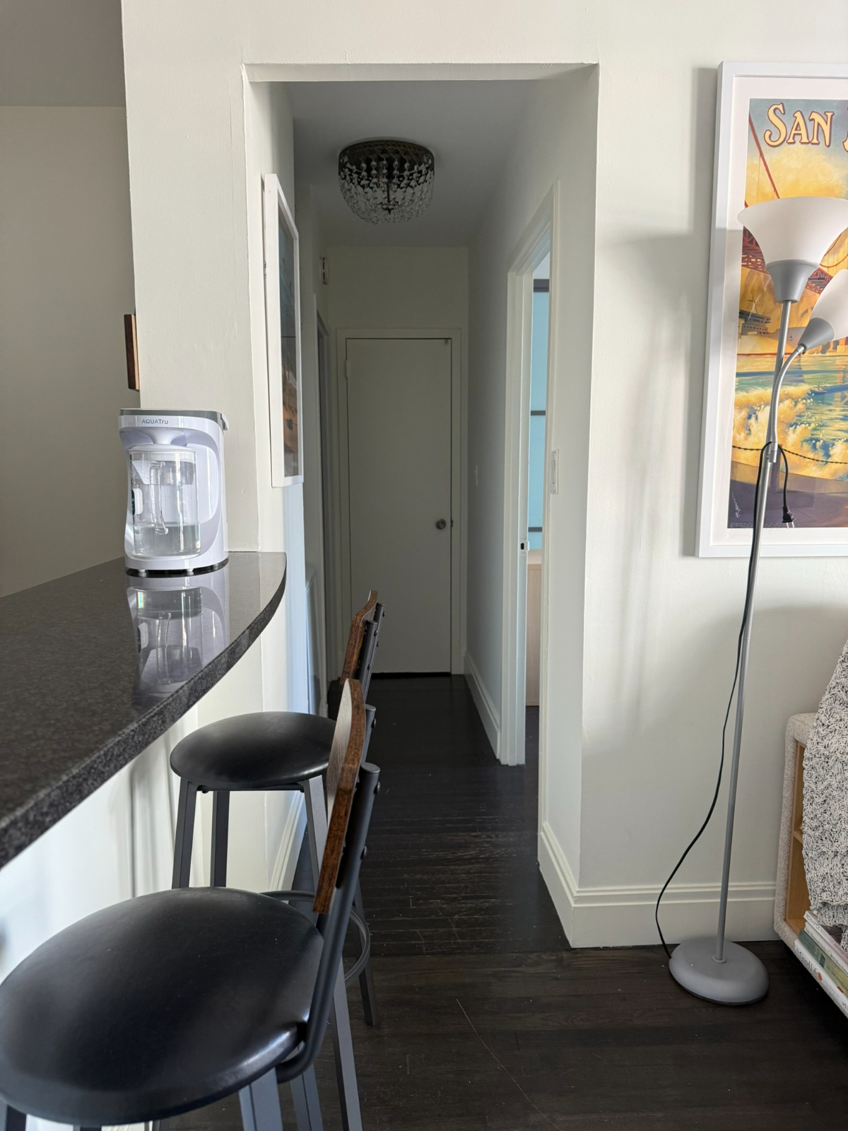 Modern Renovated 1br/1ba 700 sq ft Condo - Photo 4