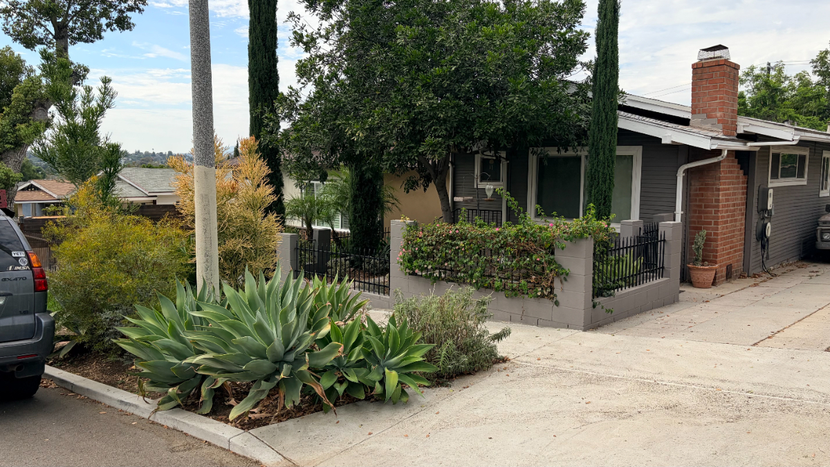 Quiet 3BD/2BA Home w/ Hill Views, Parking & Big Backyard - $3,700/mo, Near 5+ Hospitals - Photo 2
