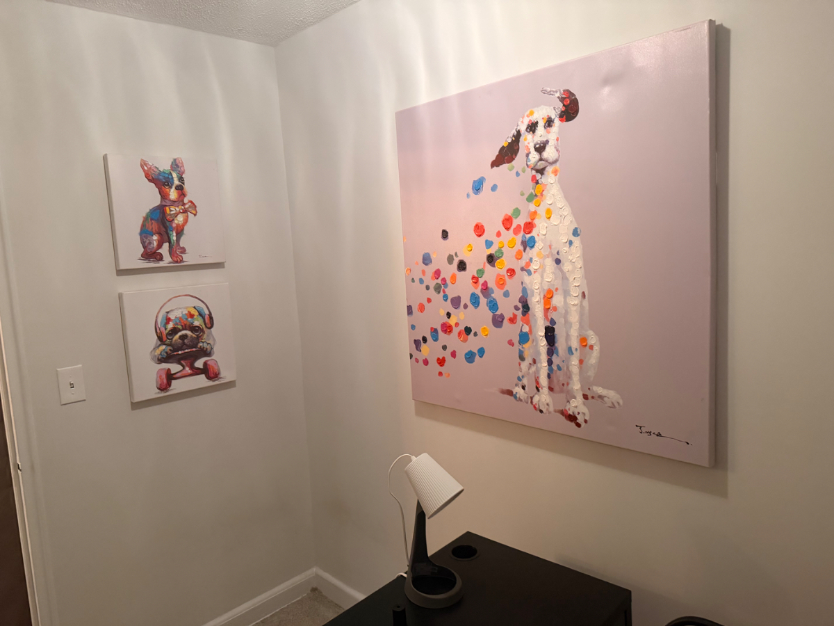 Stylish DC Retreat | Free Street Parking | Fully Furnished | Ideal for Travel Professionals - Photo 6