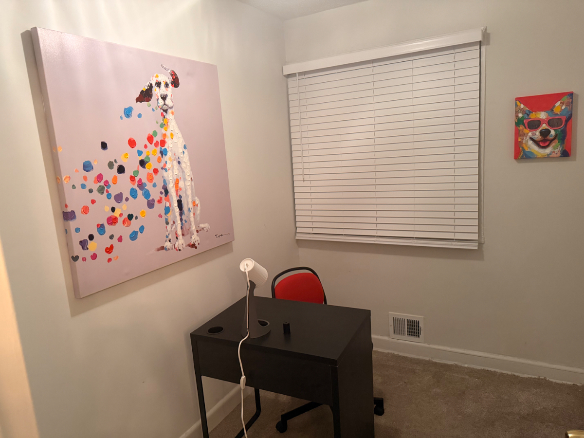 Stylish DC Retreat | Free Street Parking | Fully Furnished | Ideal for Travel Professionals - Photo 8