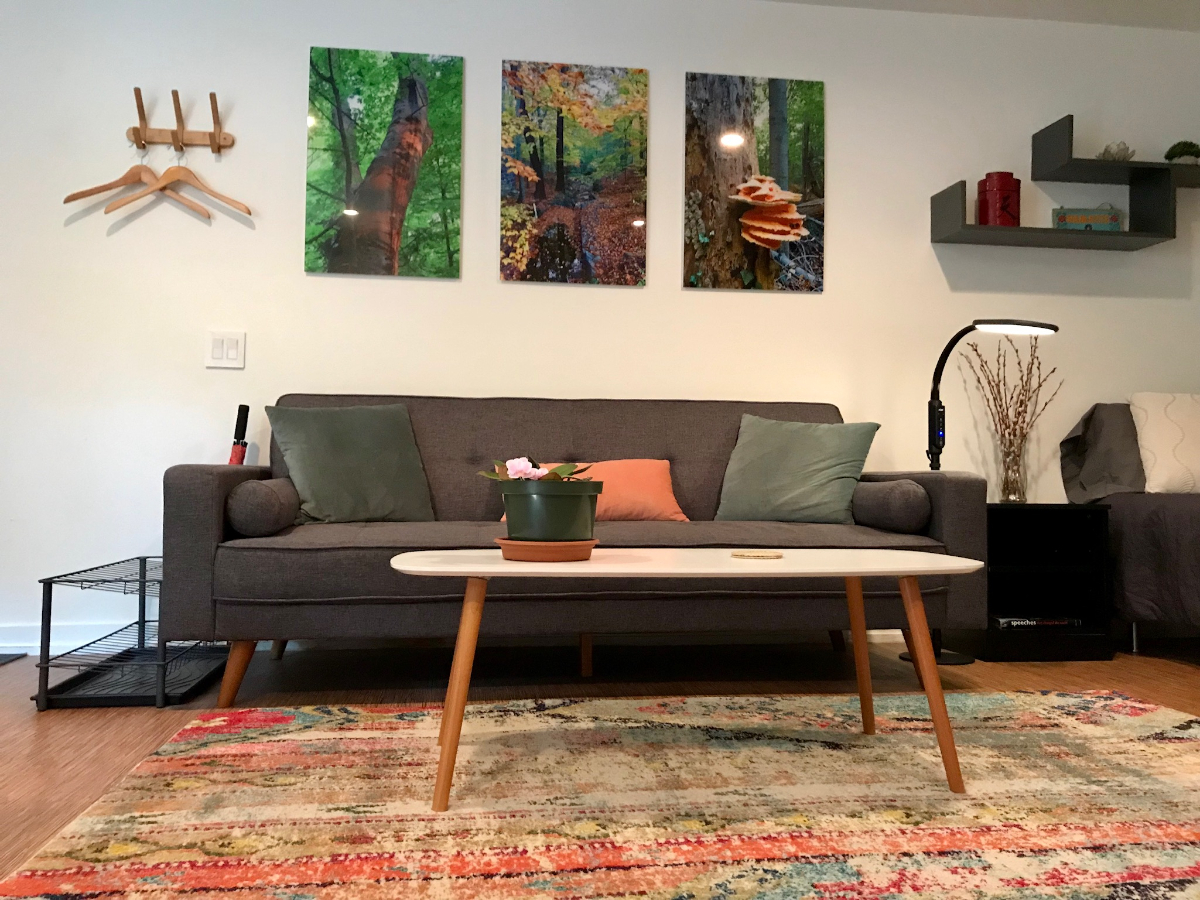 Zen Palisades, DC, apartment - MedStar Georgetown 1.7 mi, Sibley 1.5 mi, Georgetown 1.7 mi) + French - Photo 3