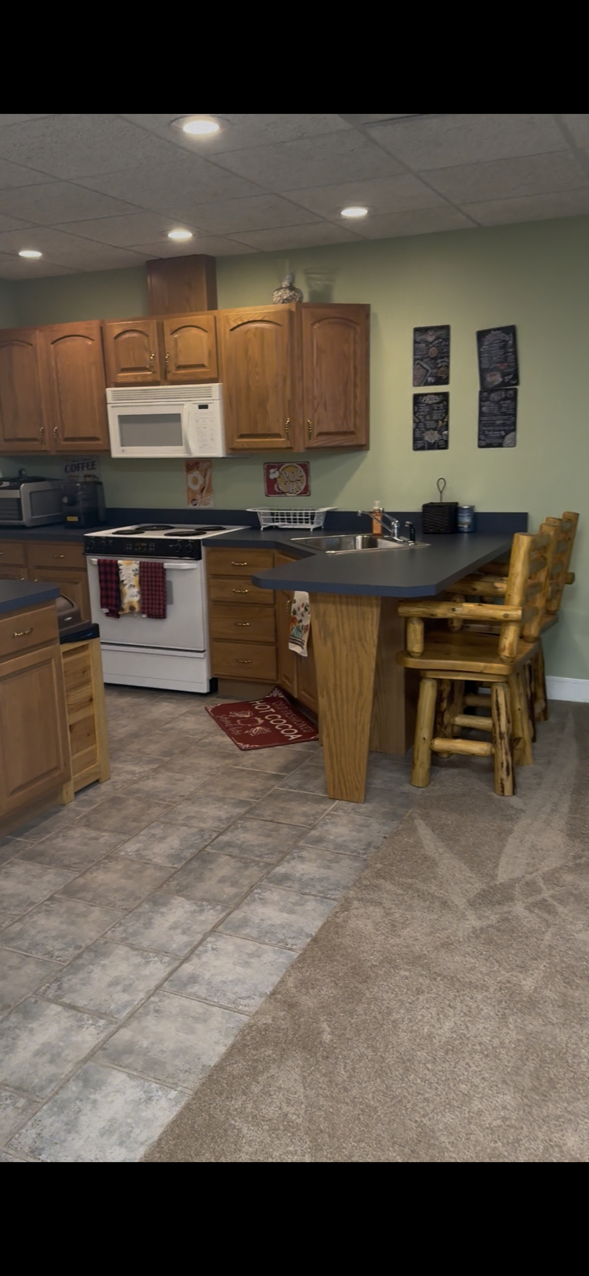 Peaceful Walk-Out Basement Studio Offering Spacious Living, Full Kitchen, & Driveway Parking - Photo 5
